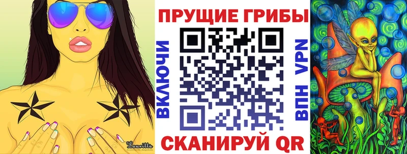 где продают наркотики  Нижнеудинск  Псилоцибиновые грибы прущие грибы 